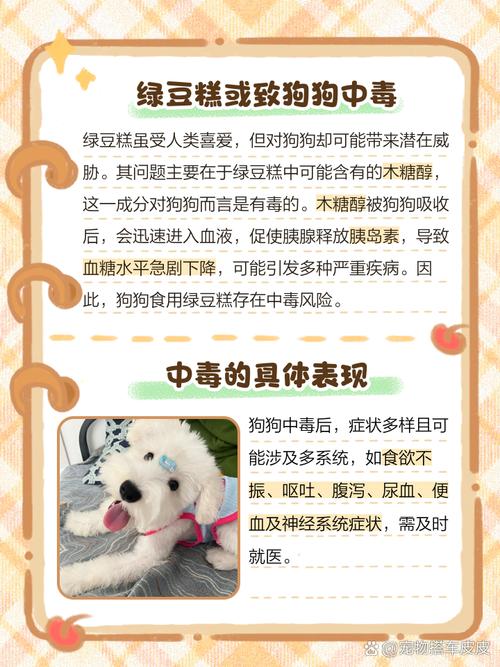 狗狗可以吃绿豆雪糕吗