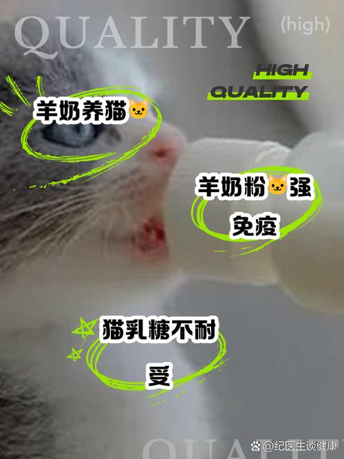 猫可以喝羊奶吗羊奶对于猫咪的营养补充还是有效果的!