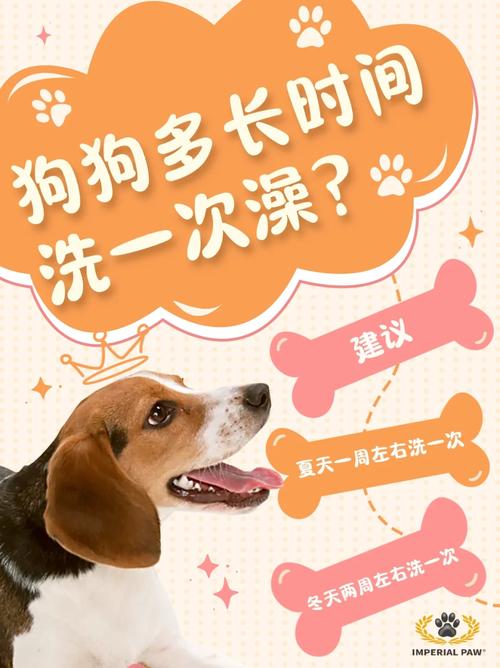 狗狗一般多久洗一次澡