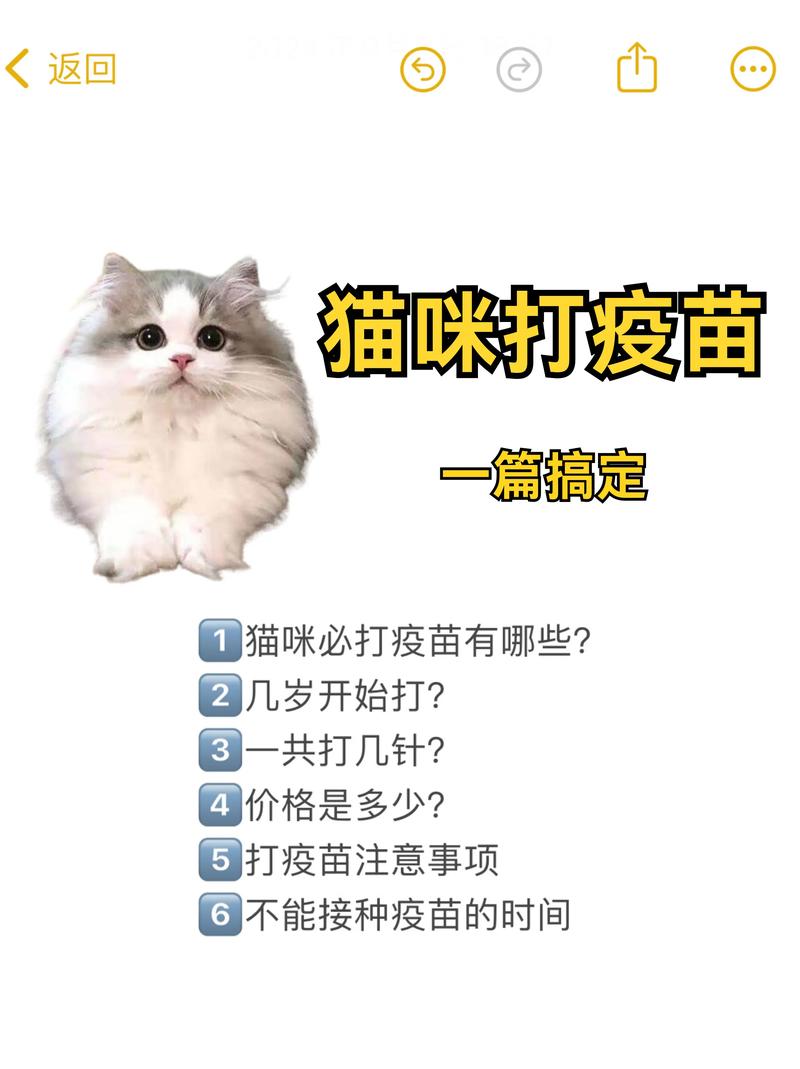 猫咪打疫苗超全攻略|新手养猫