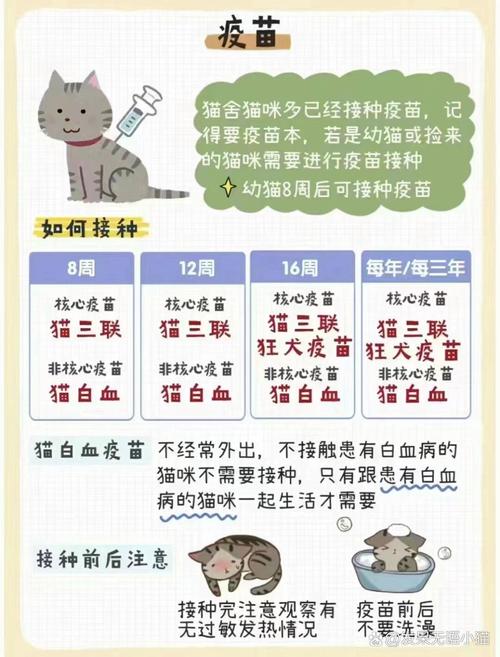 猫猫多大去打疫苗?