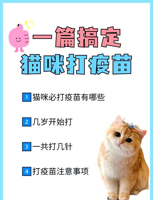 猫咪几个月开始打疫苗以及打疫苗注意事项