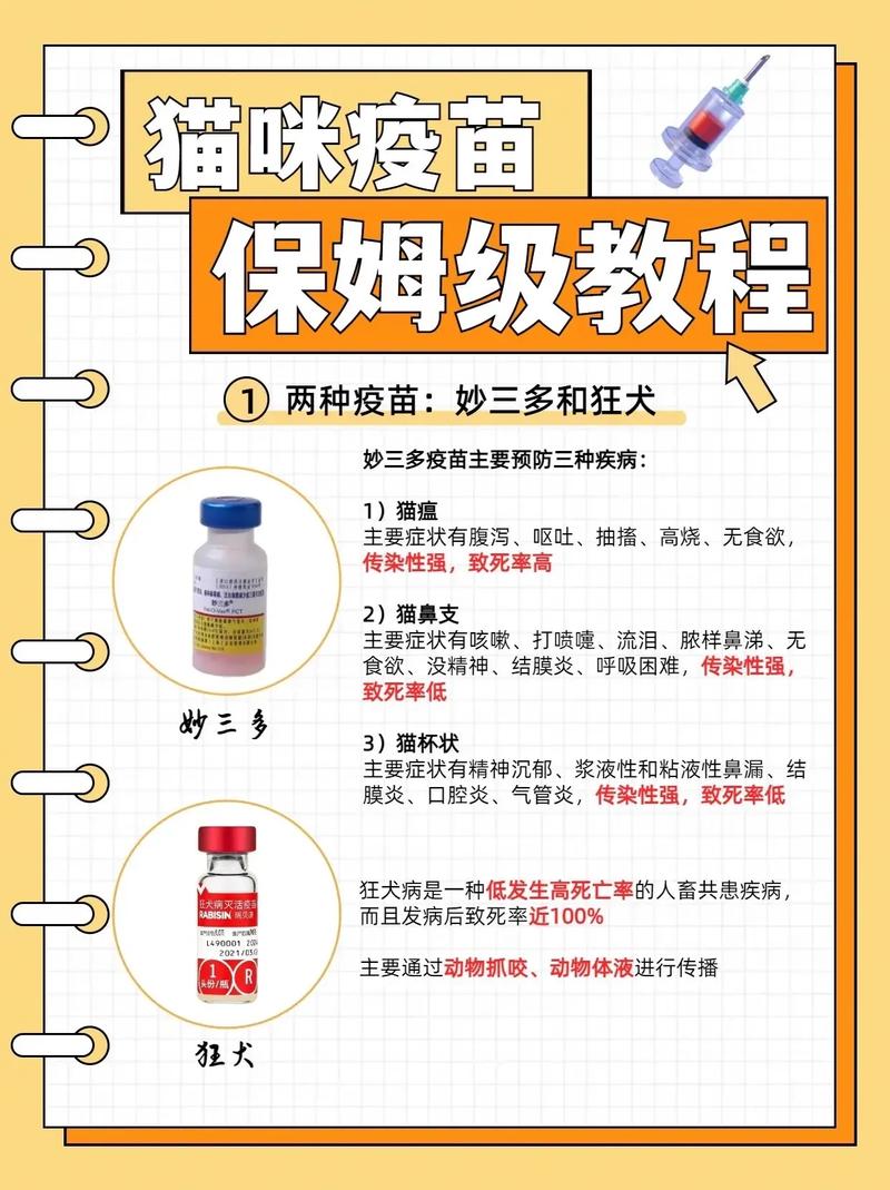 猫打疫苗注意事项