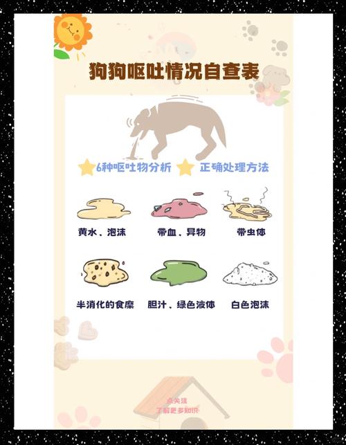 狗狗上吐下泻该怎么处理治疗