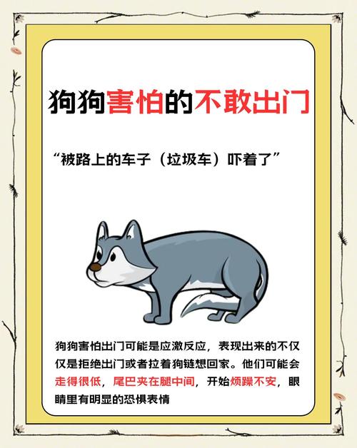 狗狗第一次出门不敢走