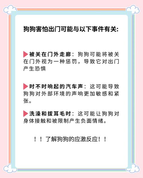 小狗不敢出门怎么办