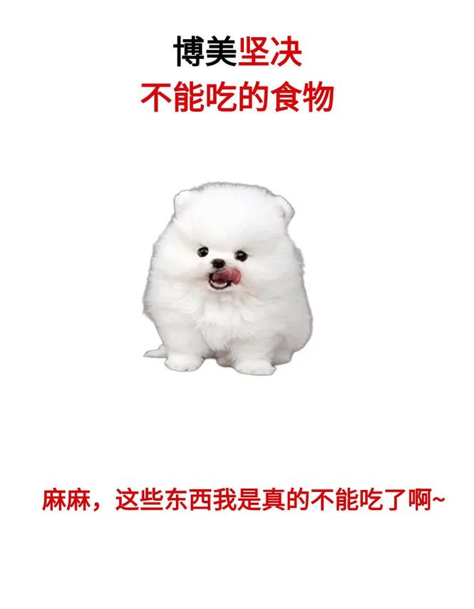 博美犬能吃黑芝麻糊吗?