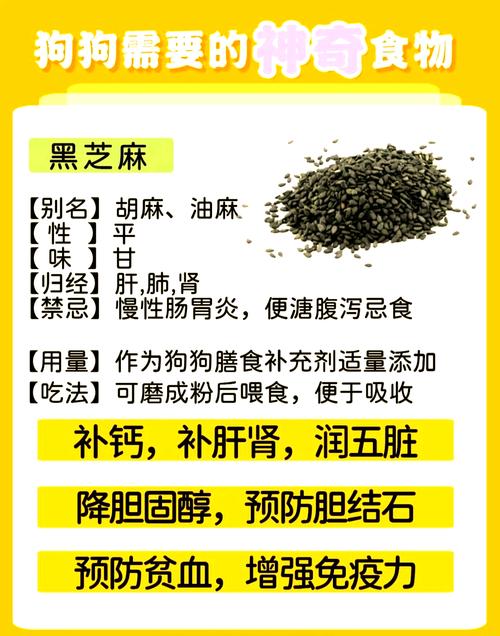 狗狗宝宝可以吃黑芝麻糊吗