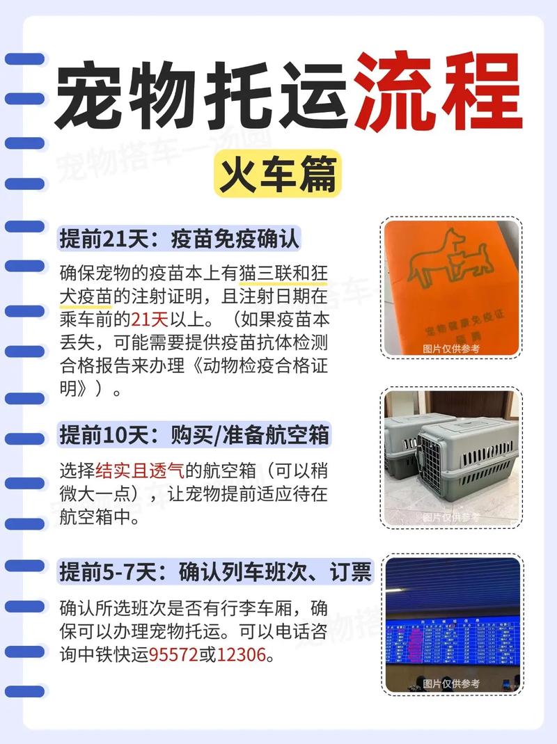 猫咪火车托运需要办理什么