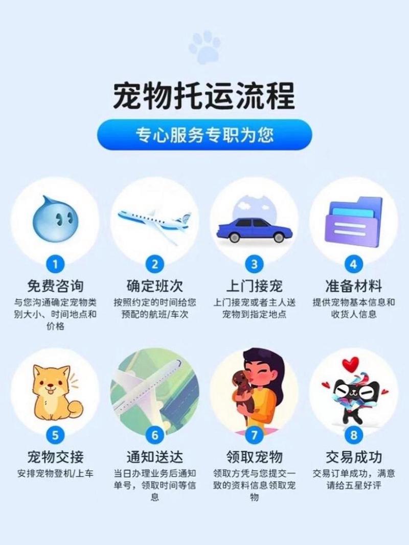 南航托运猫咪需要什么