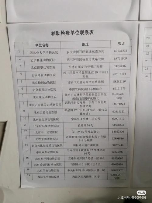 猫咪火车托运需要办理什么手续