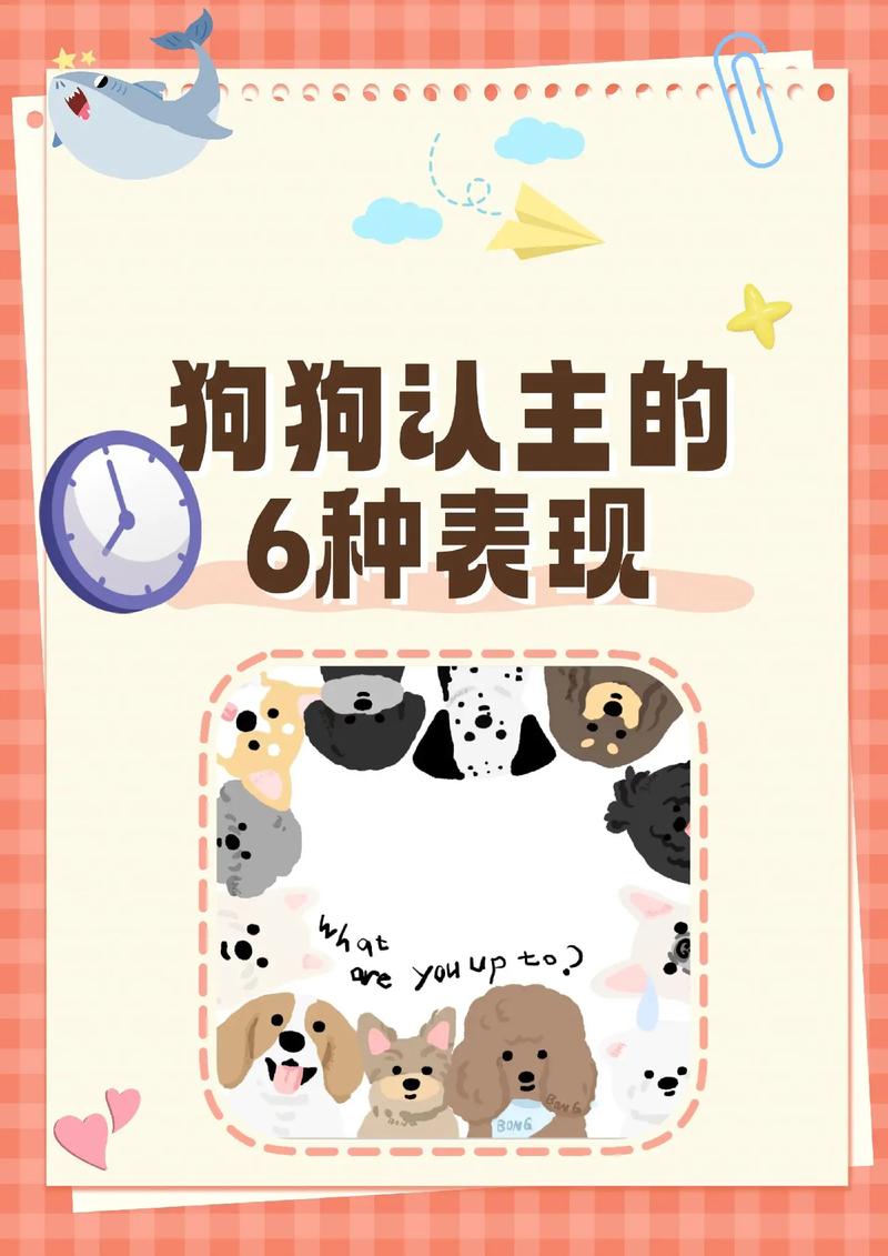 宠物狗认主人表现