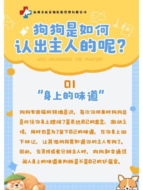 怎么判断狗狗认你主人