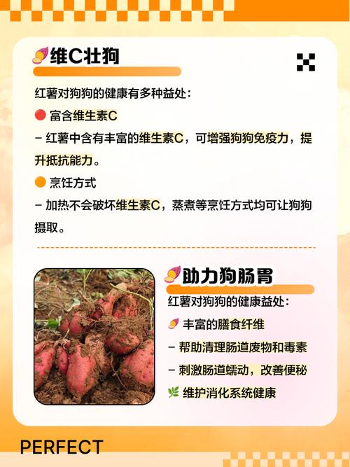 狗狗吃地瓜有什么好处?