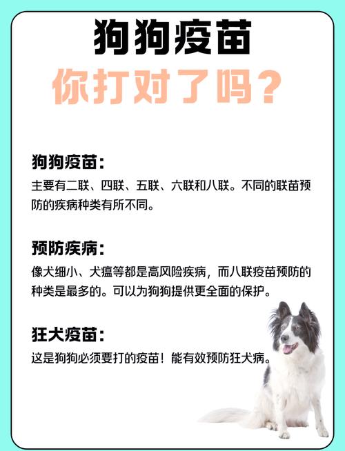 狗狗第三针疫苗间隔时间超过21天需要再打第四针加强吗