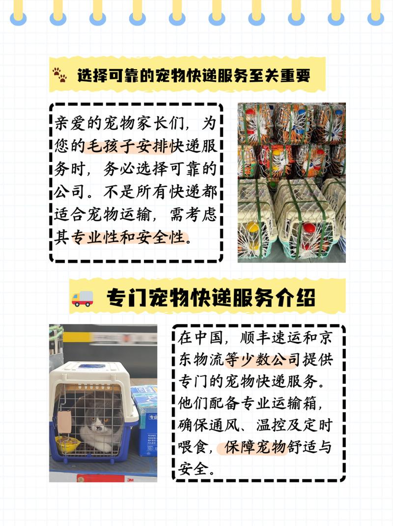 狗狗同城快递怎么寄