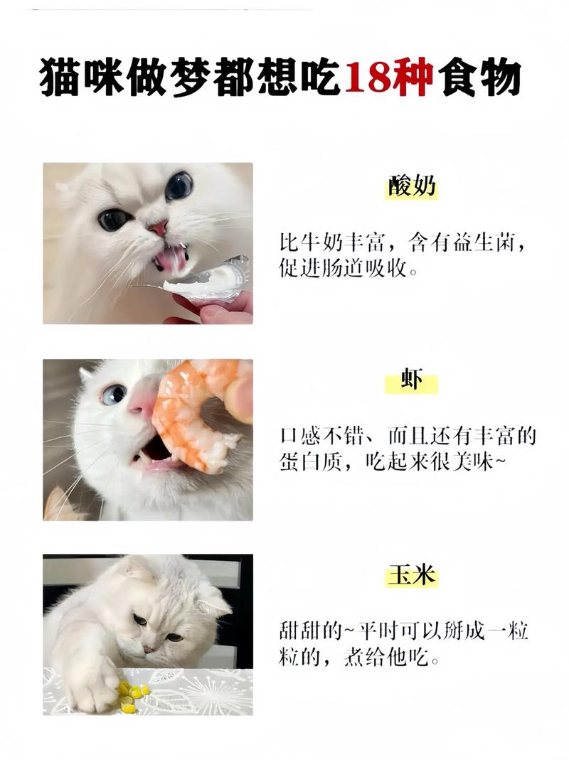 为什么小猫咪爱吃什么