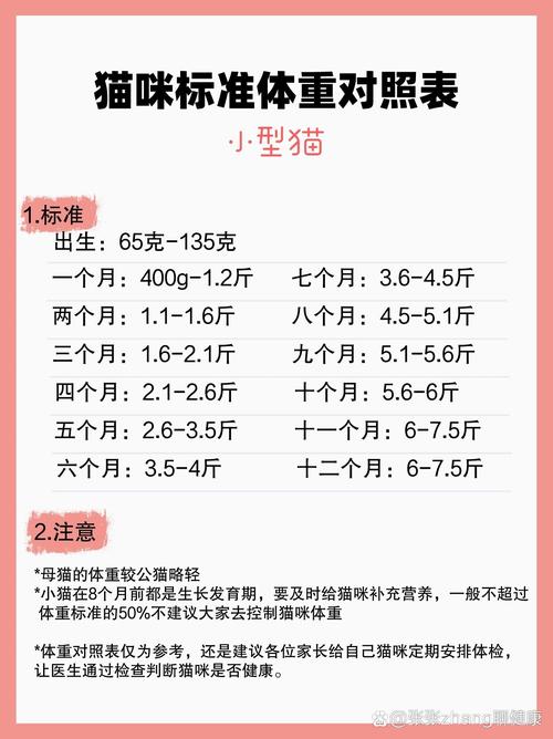 七个月的猫多重才正常