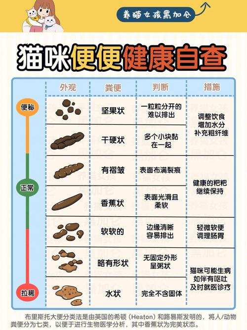 新生小猫几天大便一次算正常