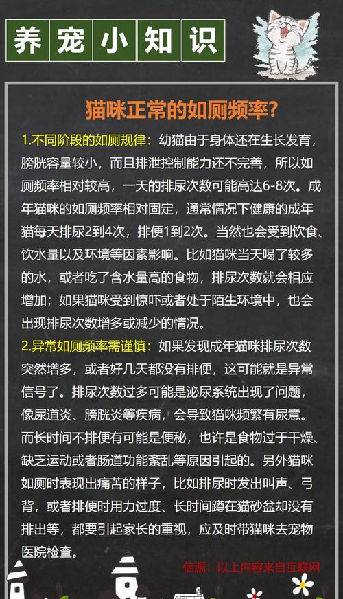 猫咪一天拉几次正常