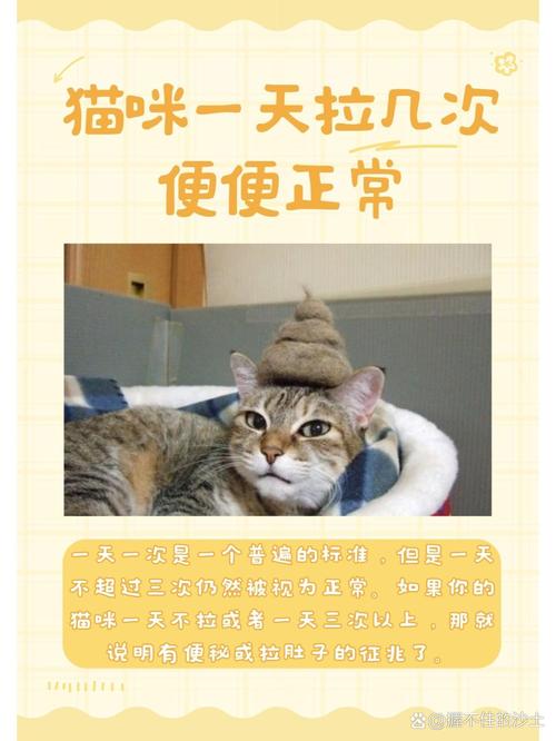 猫咪几天拉一次屎正常?