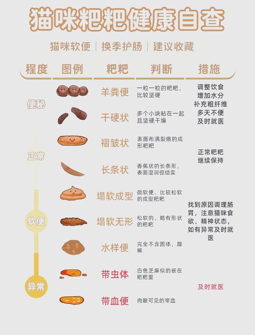 猫咪一天拉几次粑粑正常?有什么依据?