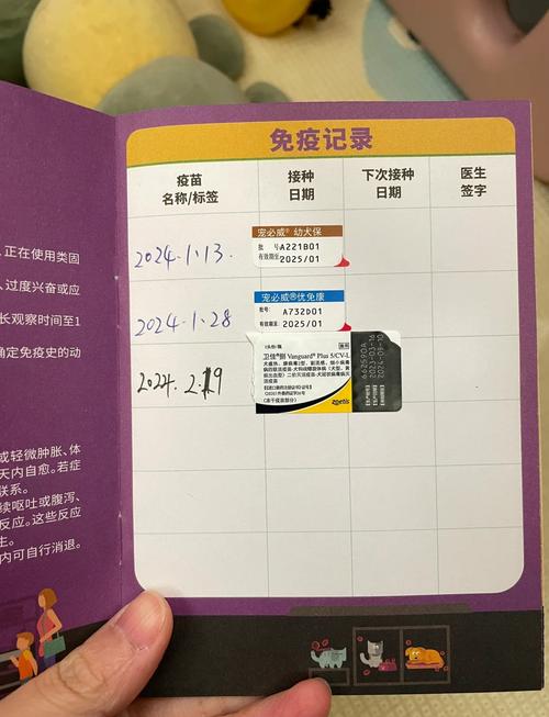 如何自己给小狗打疫苗