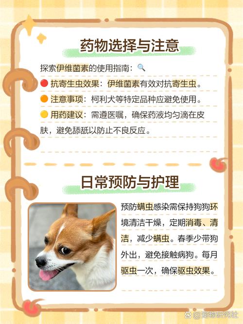 狗有螨虫最快治疗方法