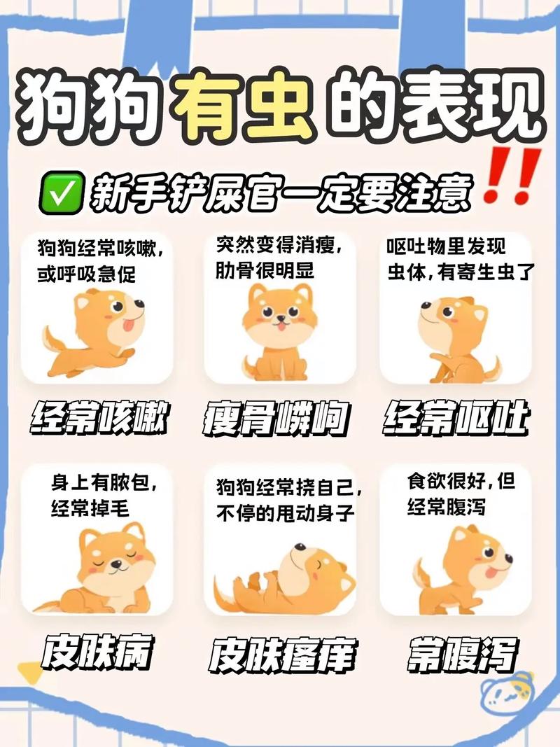 狗狗螨虫除去最快方法