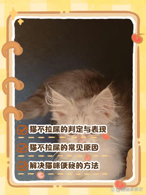 猫咪几天不拉屎怎么回事?