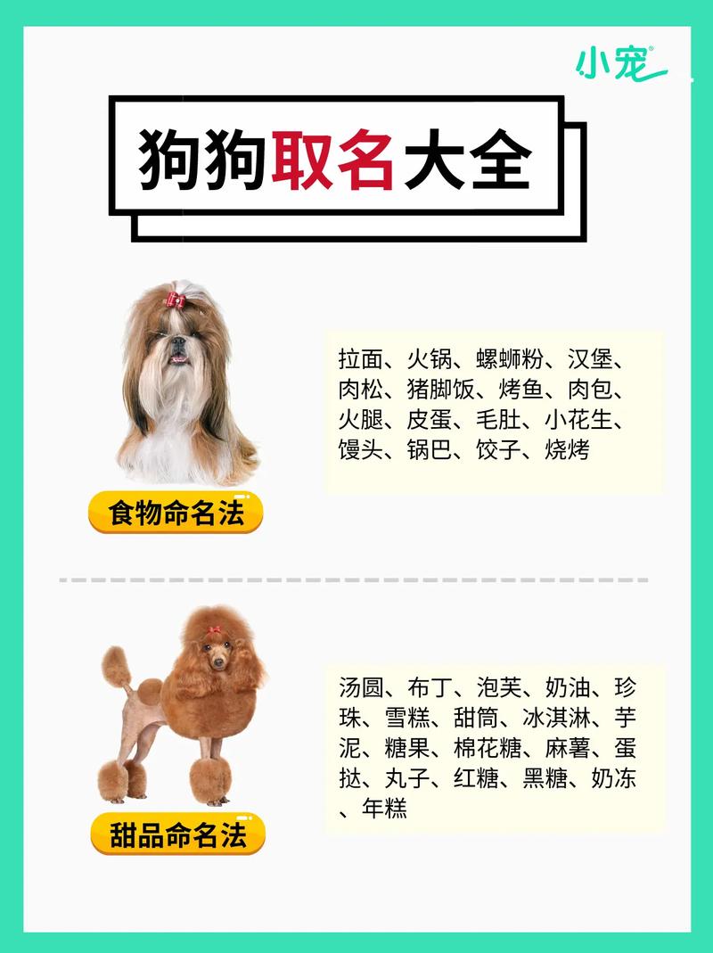 最洋气好听的狗名