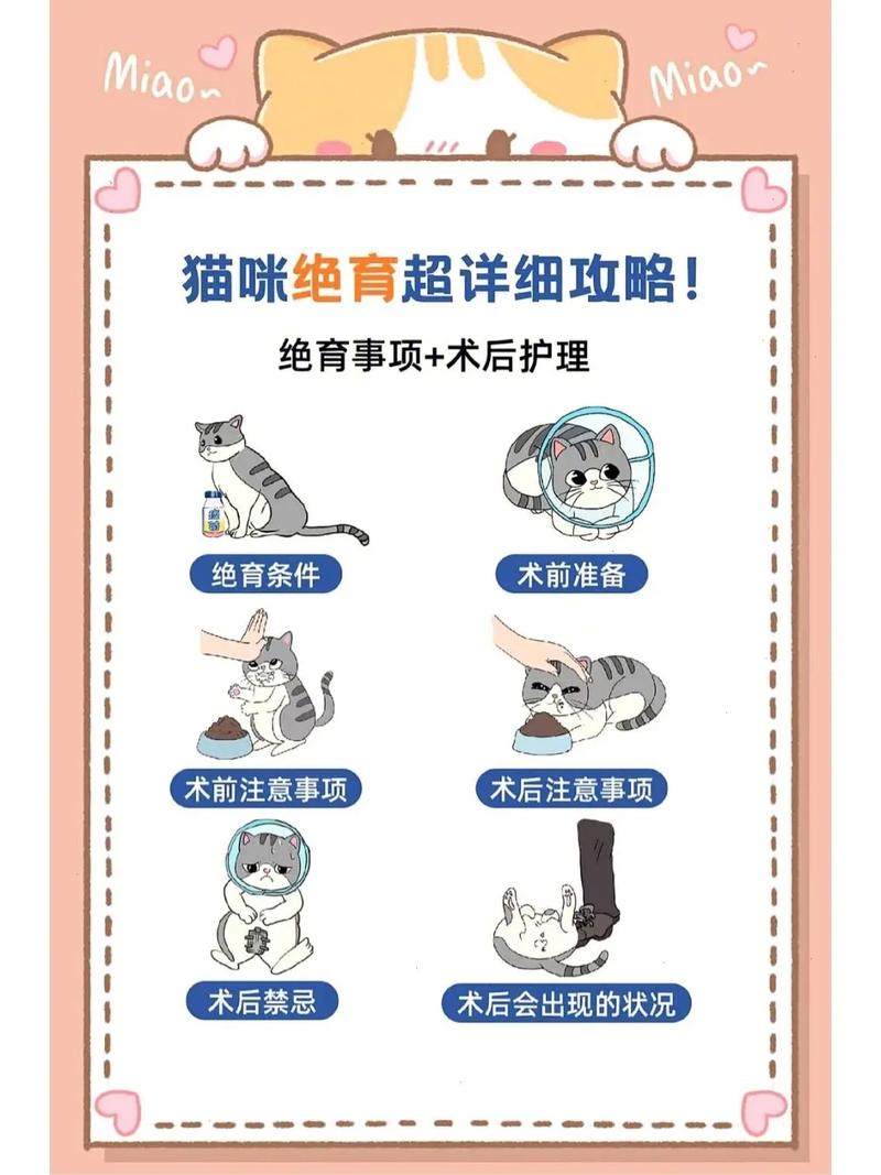 为什么要给收养的猫咪做绝育?