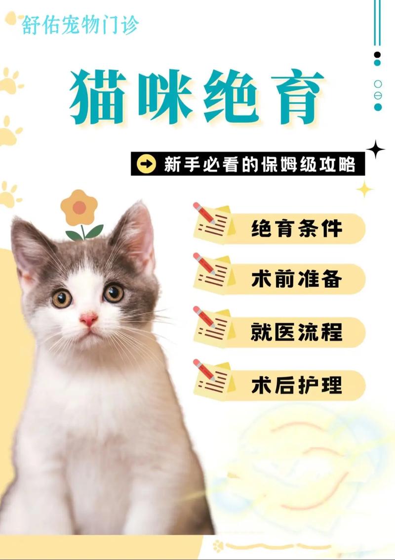 为什么要给家中的公猫做绝育?