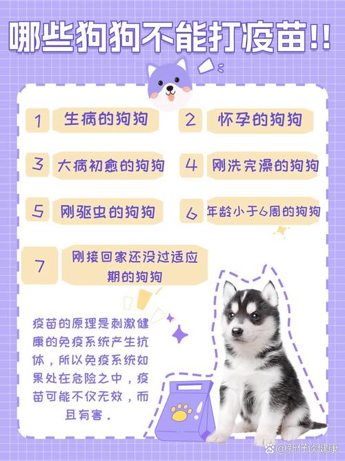 小狗几个月可以打疫苗啊?