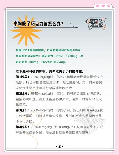 狗狗吃了巧克力会怎么样?