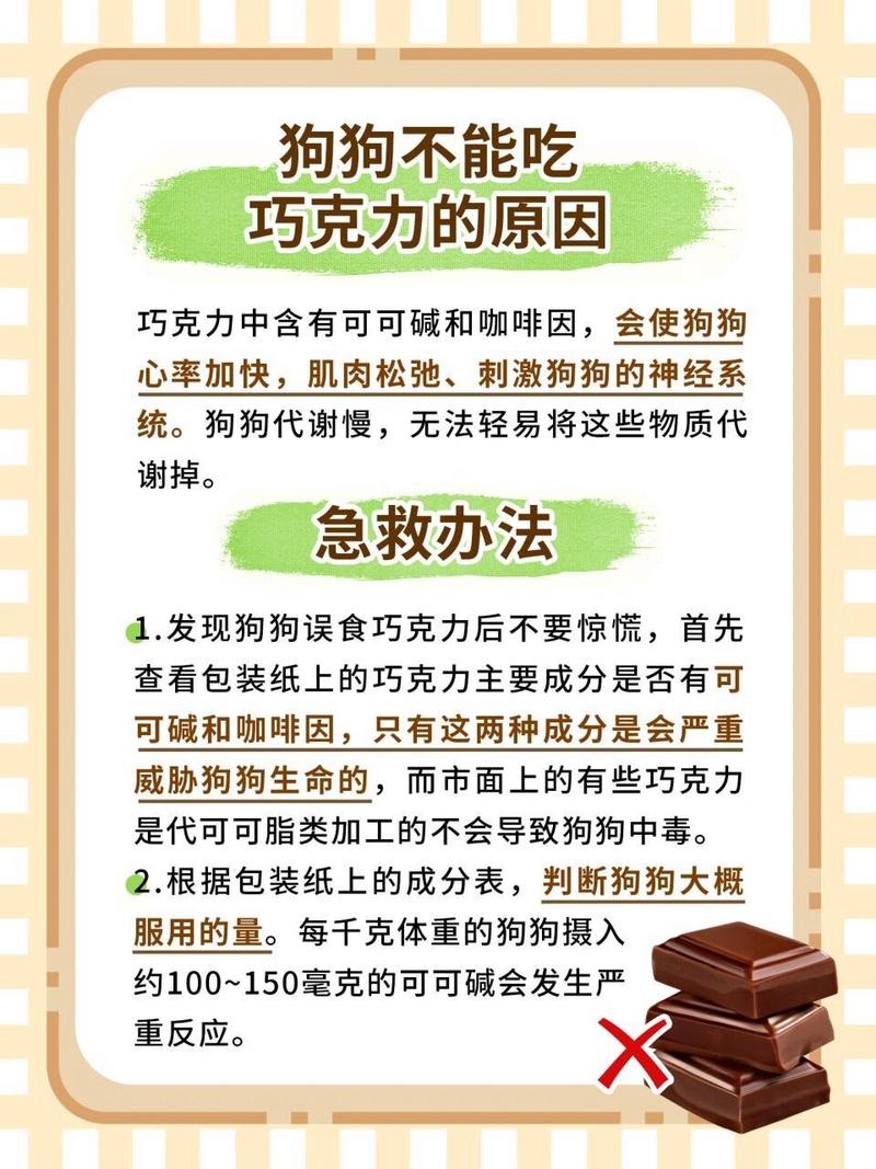 家狗狗不小心吃了巧克力蛋糕,怎么办