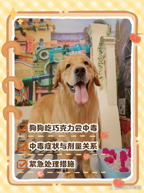 狗狗吃了巧克力会怎么样啊!?