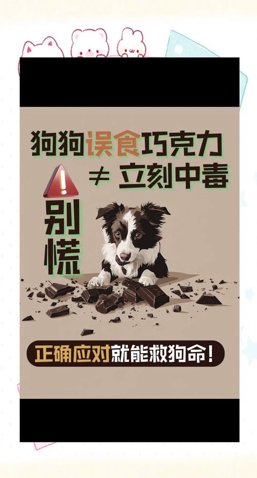 狗狗吃了巧克力是否会死啊?