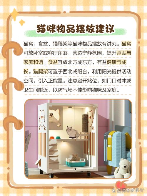 可以把猫关在家里几天