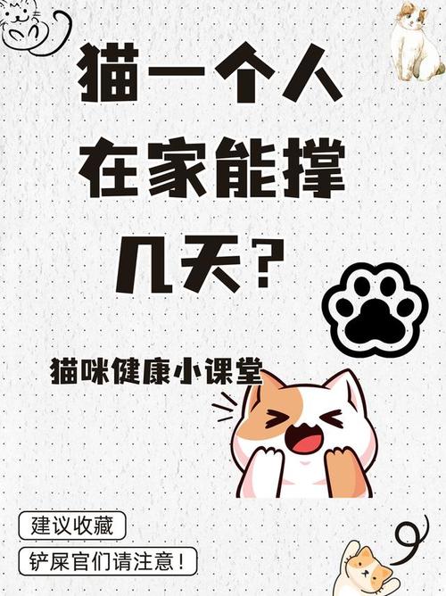 猫自己在家可以呆几天