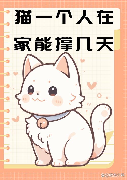 猫咪自己在家能生存多久?