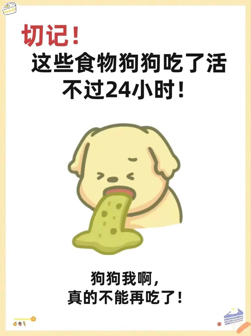 狗狗拉稀吃什么