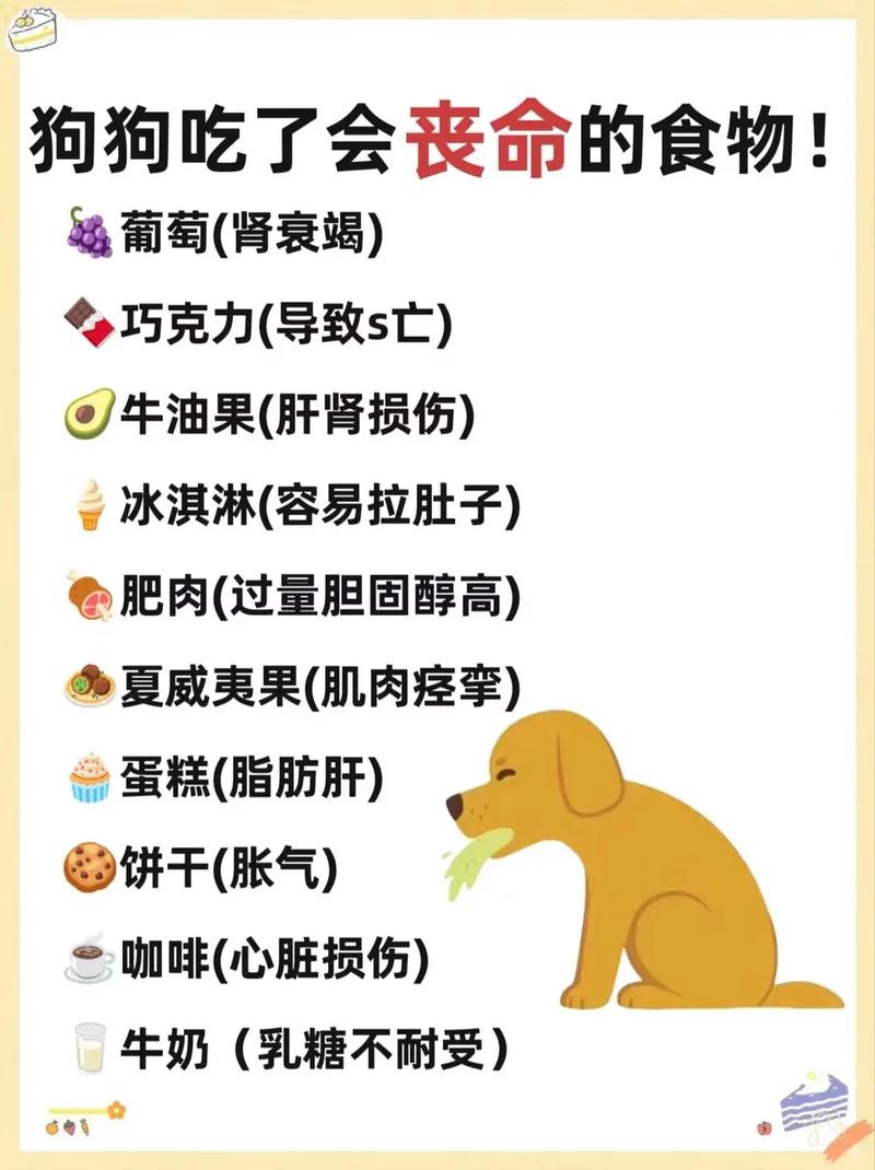 狗狗拉稀后可以吃什么