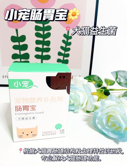 肠胃宝怎么喂给狗狗比较好