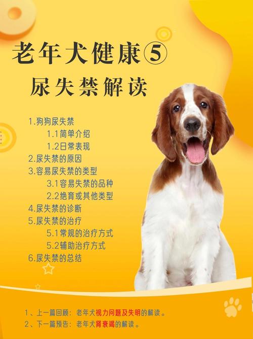 狗狗十六年了常漏尿有啥办法?