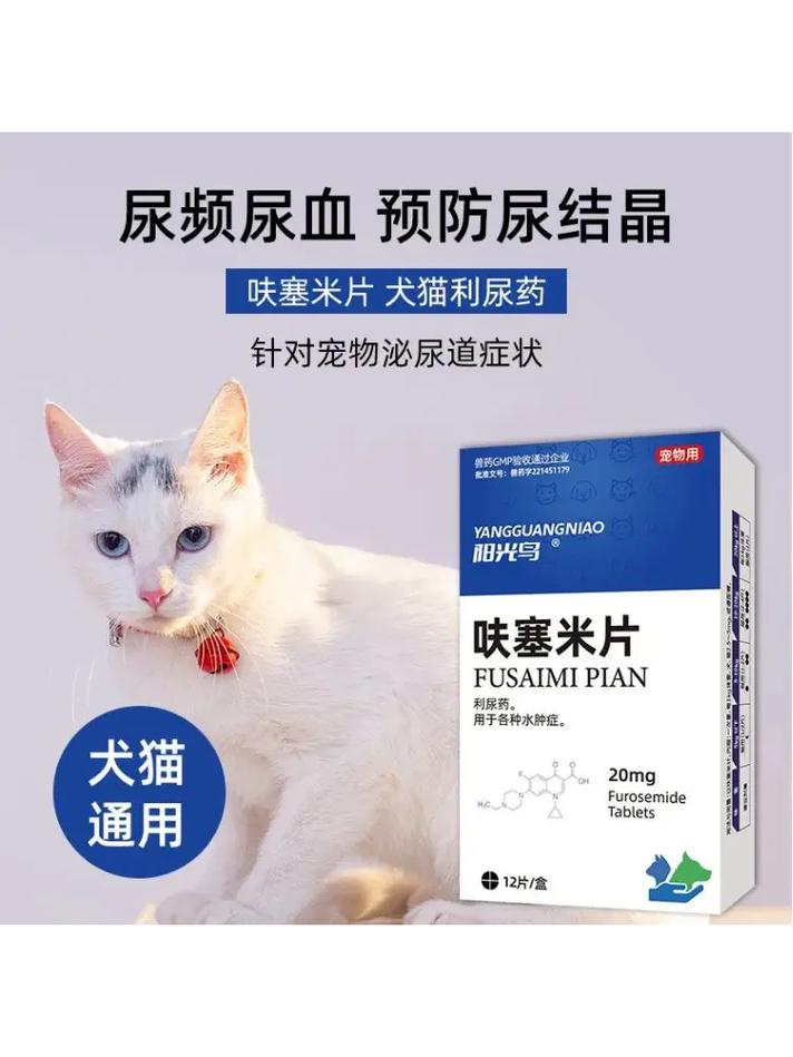 狗狗漏尿吃什么消炎药