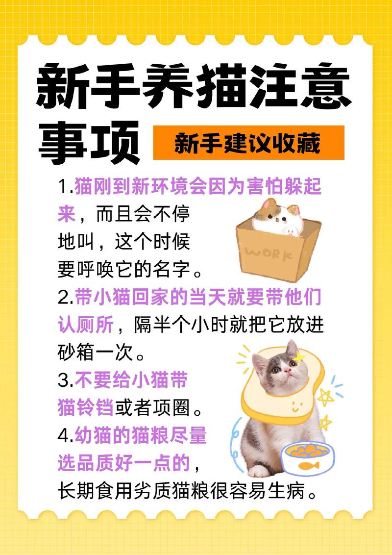 猫生小猫的注意事项有哪些呢?