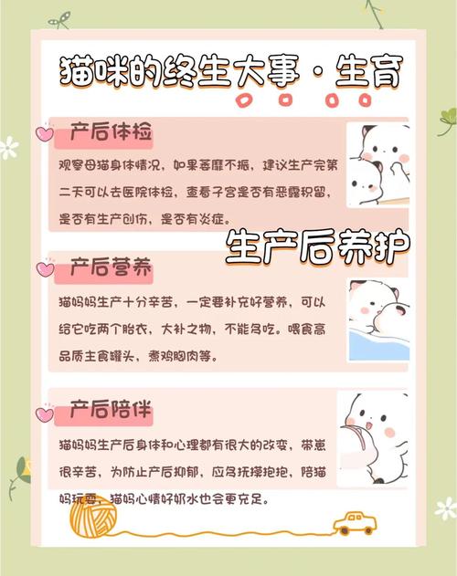 蓝猫生小猫要注意什么