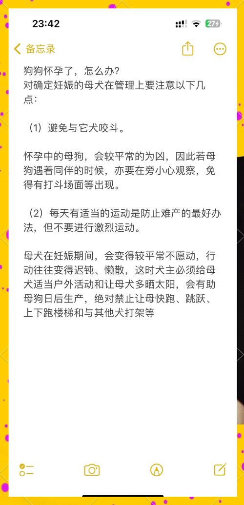 泰迪狗狗怀孕注意事项有哪些