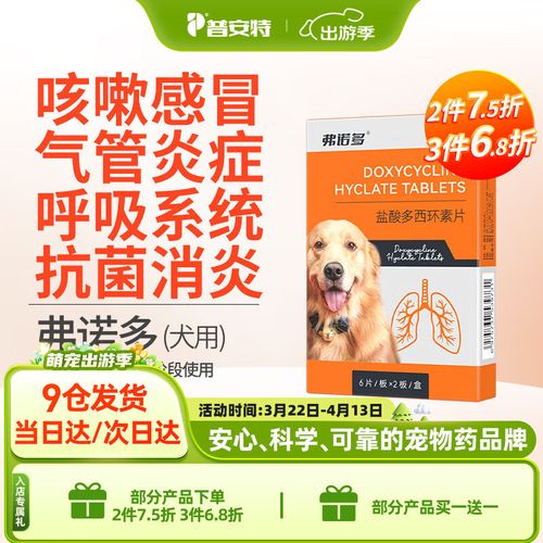 狗狗干咳干呕吃什么药比较好